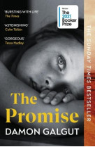 The promise ( booker prize 2021)