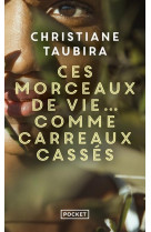 Ces morceaux de vie... comme carreaux cassés