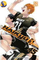 Haikyu T45 (Fin)