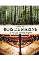 Bois de marine - les bateaux naissent en forêt