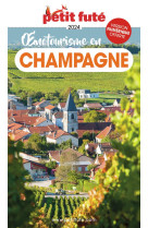 Oenotourisme en Champagne 2024 Petit Futé