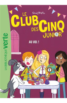 Le Club des Cinq Junior 15 - Au vol !