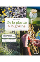 DE LA PLANTE A LA GRAINE