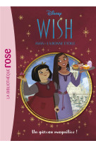 Wish, Asha et la bonne étoile 03 - Un gâteau magnifico !