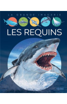 LES REQUINS