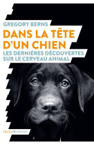 Dans la tête d'un chien