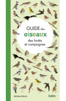 Guide des oiseaux des forets et campagnes