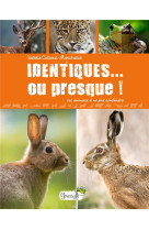 Identiques... ou presque ! Ces animaux à ne pas confondre