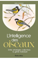 L-INTELLIGENCE DES OISEAUX