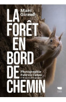 La Forêt en bord de chemin