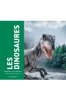 LES DINOSAURES RACONTES AUX ENFANTS