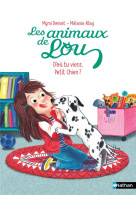 Animaux de Lou : D'où tu viens, Petit Chien ?