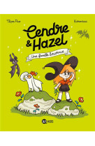 CENDRE ET HAZEL, TOME 04 - UNE FAMILLE BISCORNUE