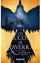 Les Faucons de Raverra, T1 : La Sorcière captive