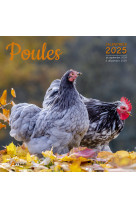 Calendrier Poules 2025