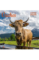 CALENDRIER VACHES 2025