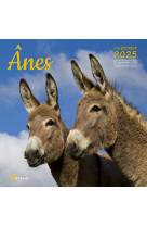 CALENDRIER ANES 2025