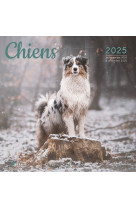 CALENDRIER CHIENS 2025