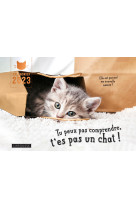 CALENDRIER TU PEUX PAS COMPRENDRE T-ES PAS UN CHAT