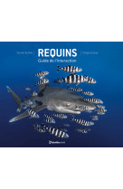 Requins: Guide de l'interaction