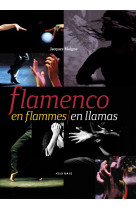 Flamenco - en flammes