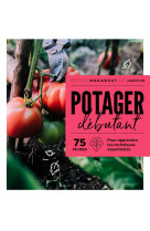 Potager débutant