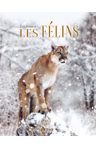 LES FELINS