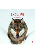 Calendrier loups 2025