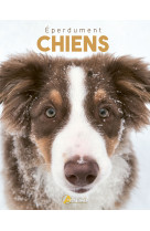 Eperdument chiens