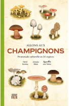 Allons aux champignons. Promenade culturelle en 50 espèces