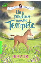 Un poulain nommé Tempête