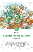 Mini-bloc d'Art-thérapie Esprits de la nature