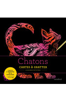 Livres à gratter : Chatons