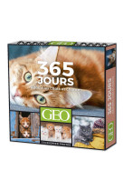 365 JOURS ADORABLES CHATS ET CHATONS  - CALENDRIERS GÉO