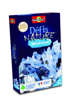 DEFIS NATURE - MINERAUX