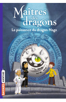 Maîtres des dragons, Tome 13