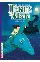 Les dragons de Nalsara, Tome 09