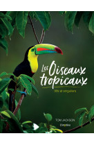 Les oiseaux tropicaux