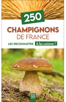 250 Champignons de France