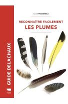 Reconnaître facilement les plumes