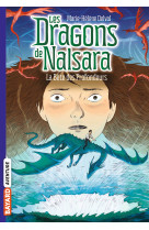 Les dragons de Nalsara, Tome 05