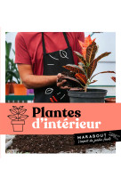 Plantes d'intérieur