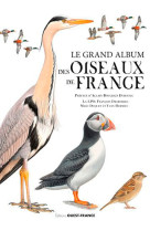 Le grand album des oiseaux de France