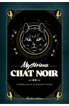 Mystérieux chat noir