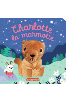 Charlotte la marmotte