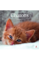 Chatons - Calendrier 2025