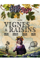 Vignes et raisins