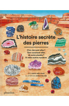 L'HISTOIRE SECRÈTE DES PIERRES