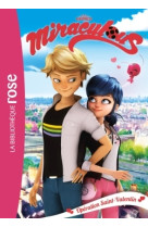 Miraculous 05 - Opération Saint-Valentin