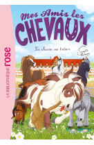 Mes amis les chevaux 39 - La chasse au trésor